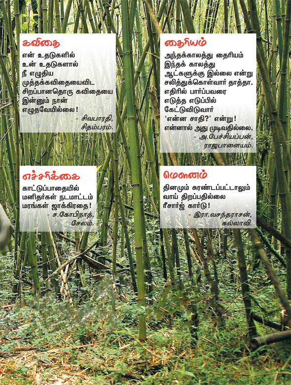 Kungumam 
magazine, Kungumam weekly magazine, Tamil Magazine Kungumam, Tamil 
magazine, Tamil weekly magazine, Weekly magazine